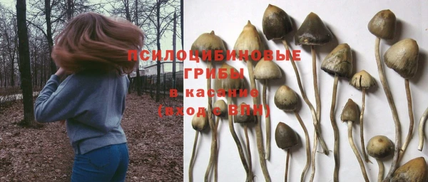 мефедрон мука Каменск-Шахтинский