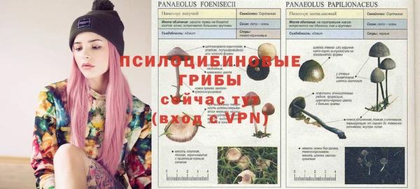 мдпв Зеленокумск